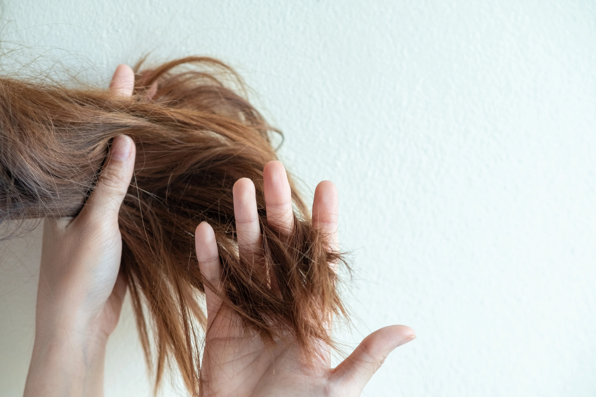 Top 5 Causes of Hair Damage