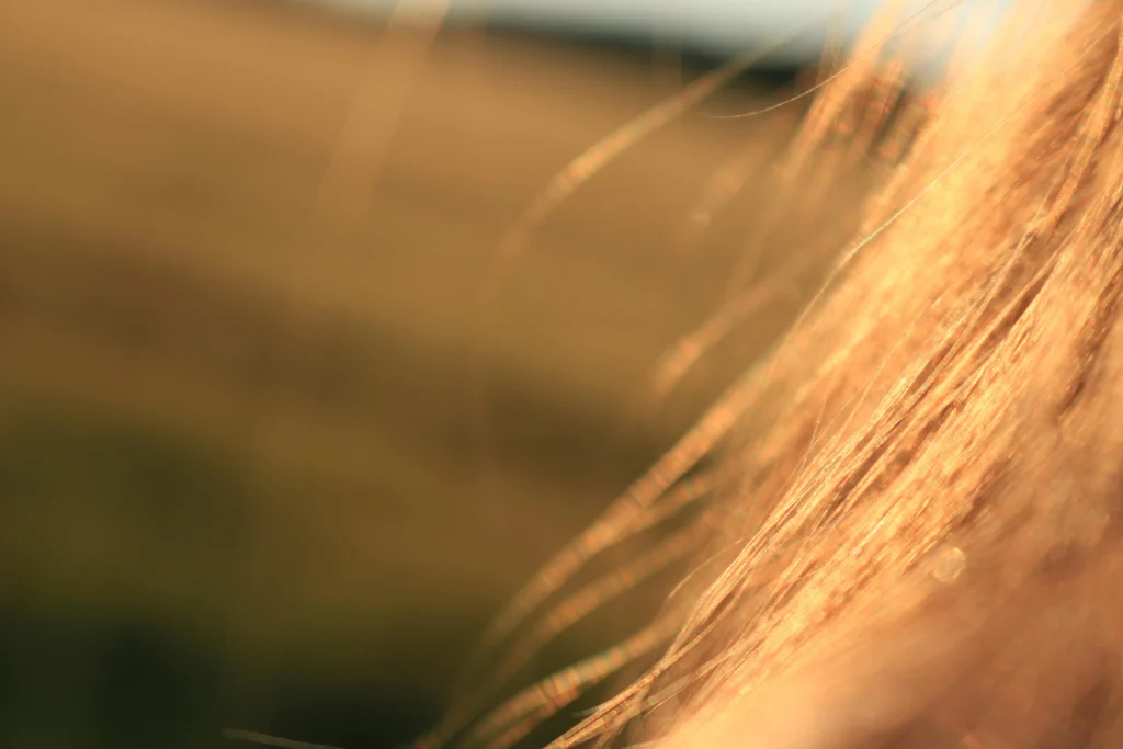 Top 5 Causes of Hair Damage - Environmental and Lifestyle Stress