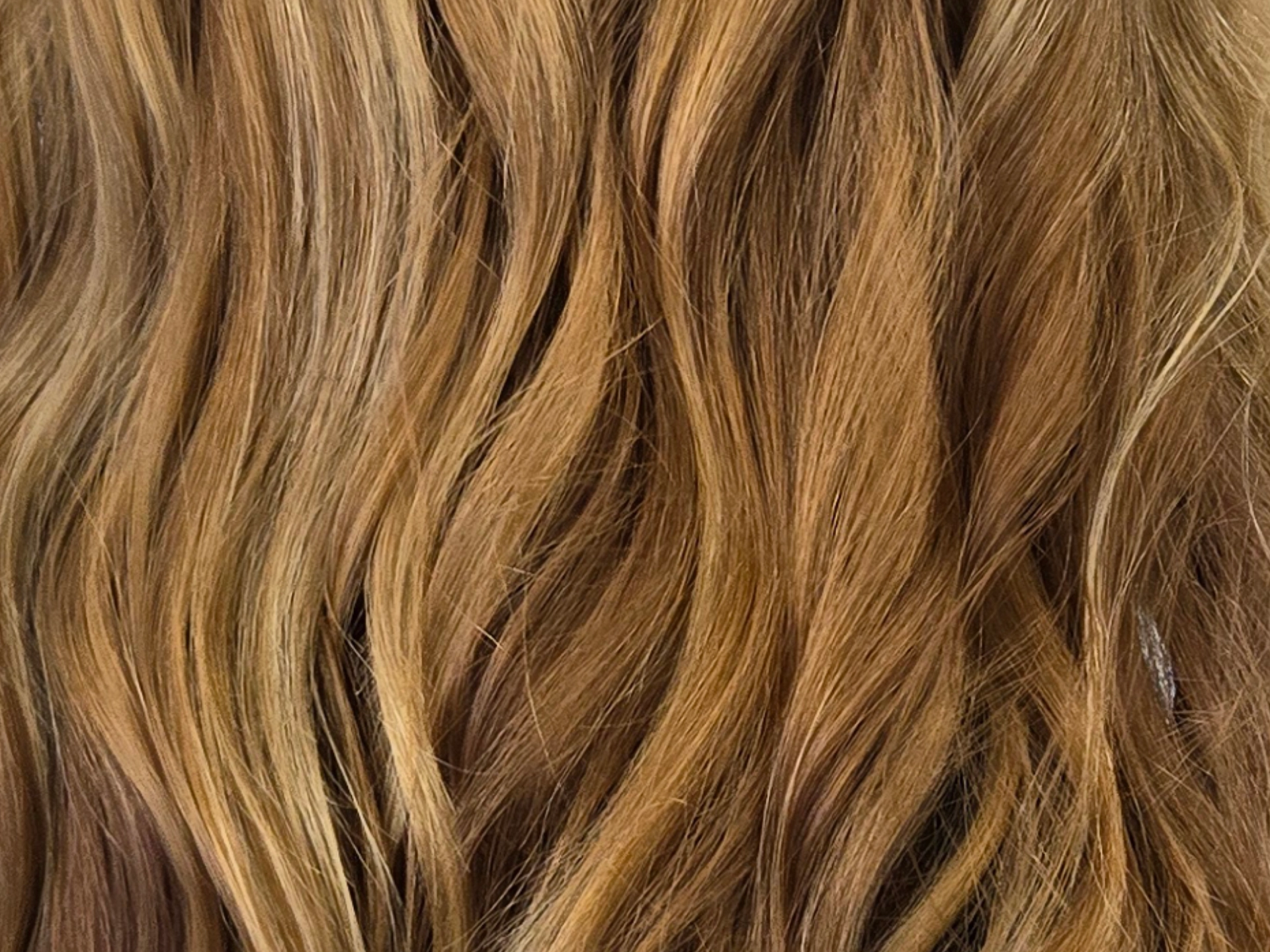 Hair Porosity and Color Results on the Main Line and Philadelphia Suburbs