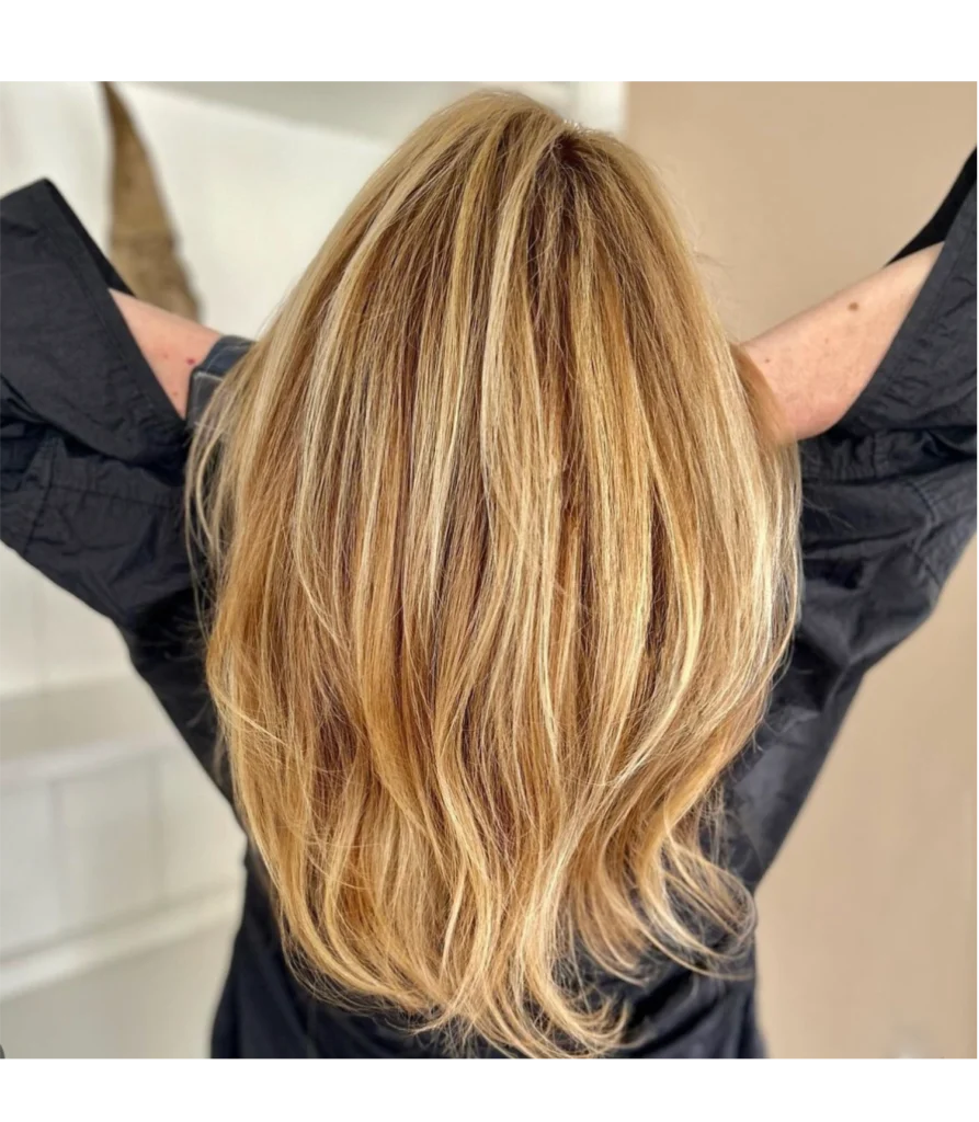 Honey blonde highlights by Private Hair Extensions Specialist in Chester and Delaware County, PA, Corissa Benn