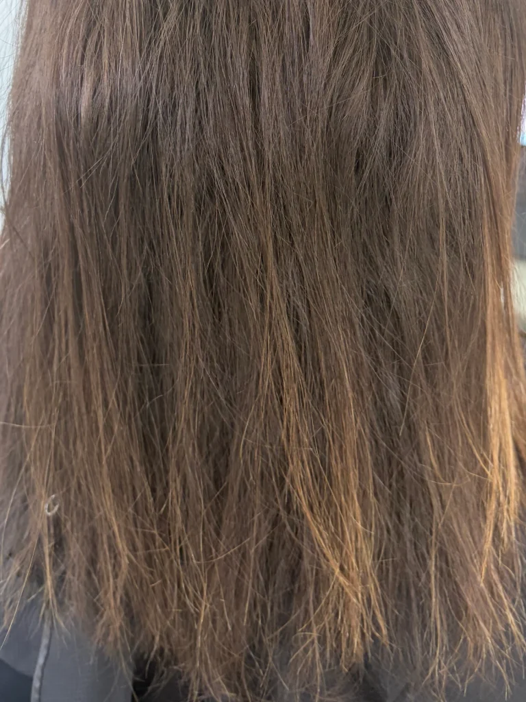 End of Summer Hair Care on the Main Line - Dry Hair